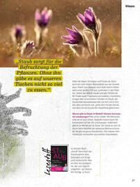 Denn's Biomarkt Flugblatt Seite 37