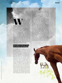 Denn's Biomarkt Flugblatt Seite 47