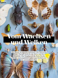 Denn's Biomarkt Flugblatt Seite 6