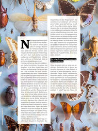 Denn's Biomarkt Flugblatt Seite 7