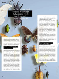 Denn's Biomarkt Flugblatt Seite 8