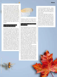 Denn's Biomarkt Flugblatt Seite 9