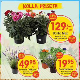 EKO reklamblad vecka 29 Sida 1