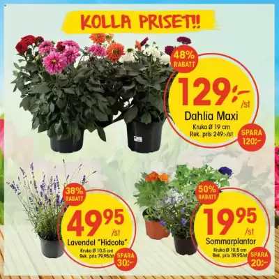 EKO reklamblad