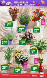 Polomarket gazetka tydzień 29 Strona 5