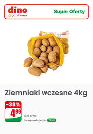 Dino gazetka tydzień 29 Strona 5