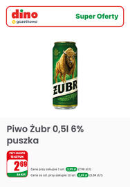 Dino gazetka tydzień 29 Strona 6