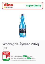 Dino gazetka tydzień 29 Strona 7