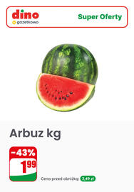 Dino gazetka tydzień 29 Strona 8