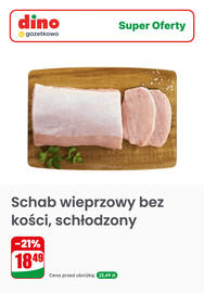Dino gazetka tydzień 29 Strona 9