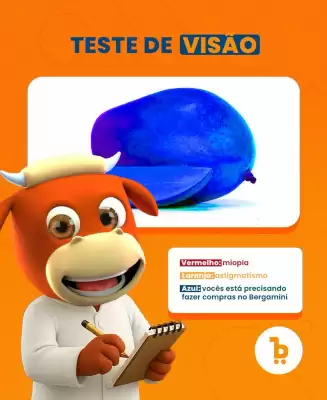 Catálogo Supermercado Bergamini