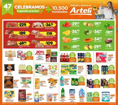 Catálogo Arteli