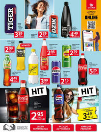 Selgros gazetka Strona 21