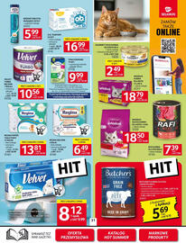 Selgros gazetka Strona 31