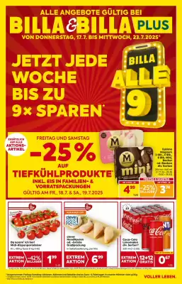 Billa Flugblatt (gültig bis 24-07)