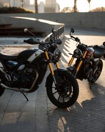 Catálogo Triumph Página 1