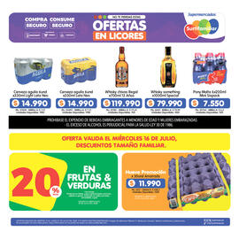 Catálogo Surtifamiliar semana 29 Página 3