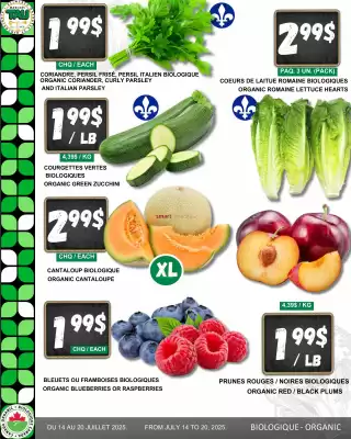 Marches Tau flyer (valid until 20-07)