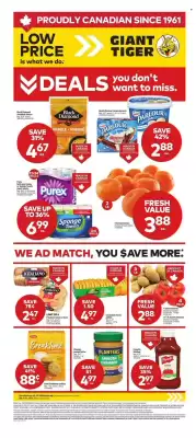 Giant Tiger flyer (valid until 22-07)