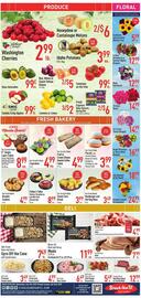 Strack & Van Til Weekly Ad week 29 Page 10