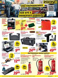 Zgonc Flugblatt Seite 17