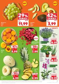 Kaufland gazetka tydzień 29 Strona 17