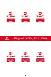 Selgros gazetka Strona 4