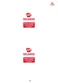 Selgros gazetka Strona 19