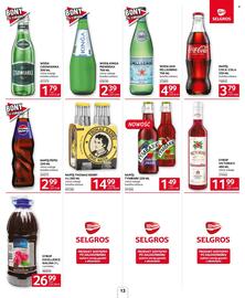 Selgros gazetka Strona 13