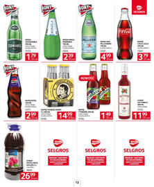 Selgros gazetka Strona 13