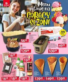 Selgros gazetka Strona 16