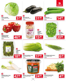 Selgros gazetka Strona 6