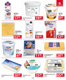 Selgros gazetka Strona 8