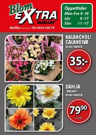 Extra Mjällby Stormarknad reklamblad vecka 29 Sida 13