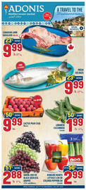 Marché Adonis flyer week 29 Page 1