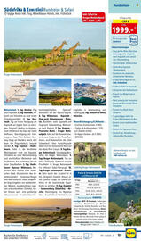 Lidl Flugblatt Seite 13