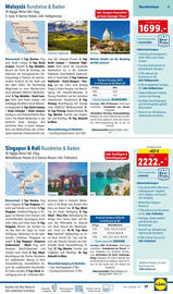 Lidl Flugblatt Seite 17