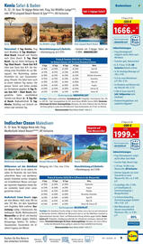 Lidl Flugblatt Seite 9