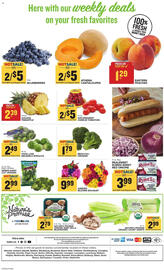 Food Lion Weekly Ad week 29 Page 14