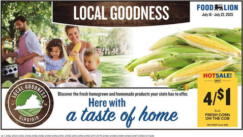 Food Lion Weekly Ad week 29 Page 15