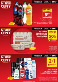 Biedronka gazetka tydzień 29 Strona 4
