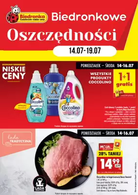 Biedronka gazetka (ważność do 19-07)