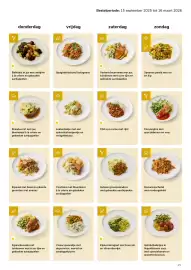 Van Hoeckel folder Pagina 15