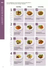 Van Hoeckel folder Pagina 20