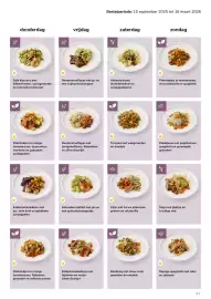 Van Hoeckel folder Pagina 21