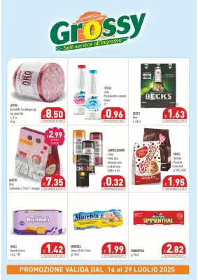 Volantino Cash & Carry Grossy