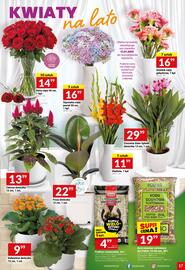 Twój Market gazetka tydzień 29 Strona 17