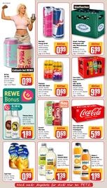 REWE PETZ Prospekt woche 29 Seite 16