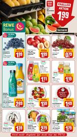 REWE PETZ Prospekt woche 29 Seite 6