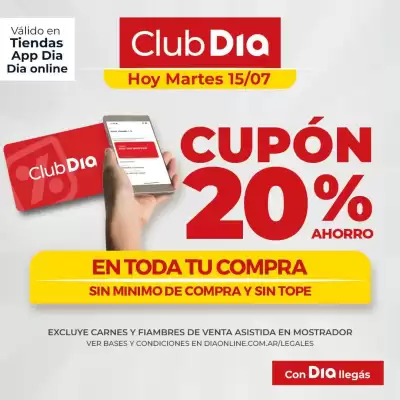 Catálogo Supermercados DIA (válido hasta 15-07)